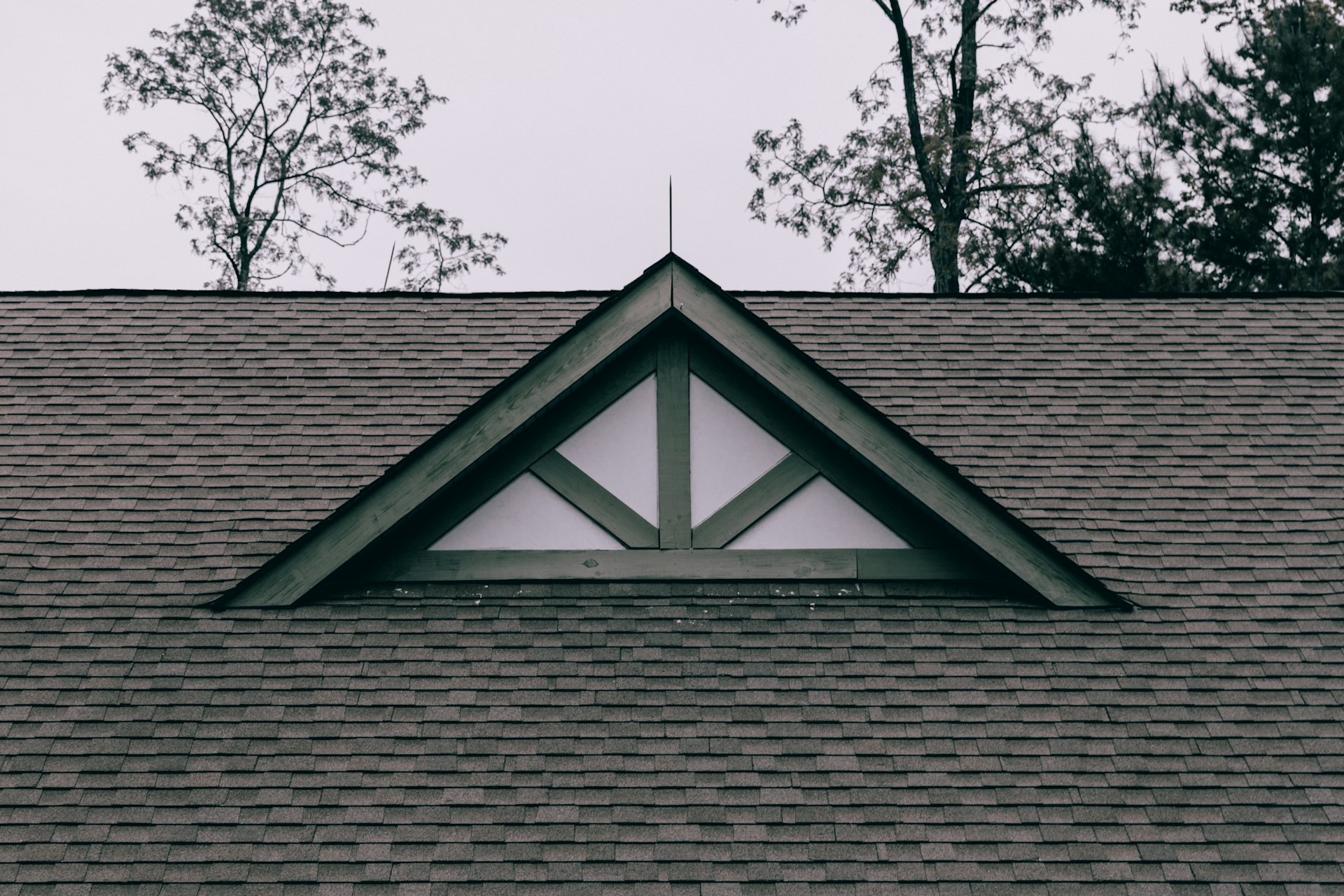 Asphalt Shingle Roof