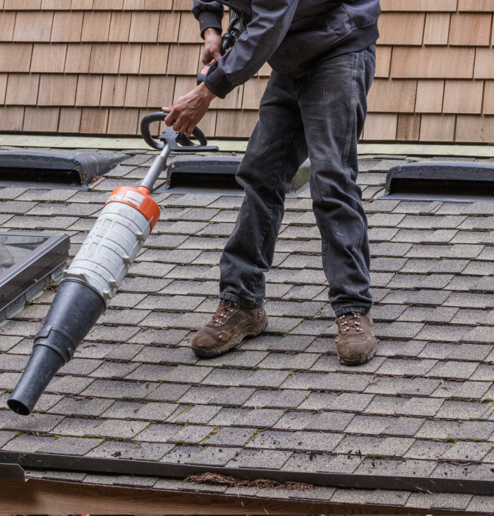 Professional Roof Cleaning