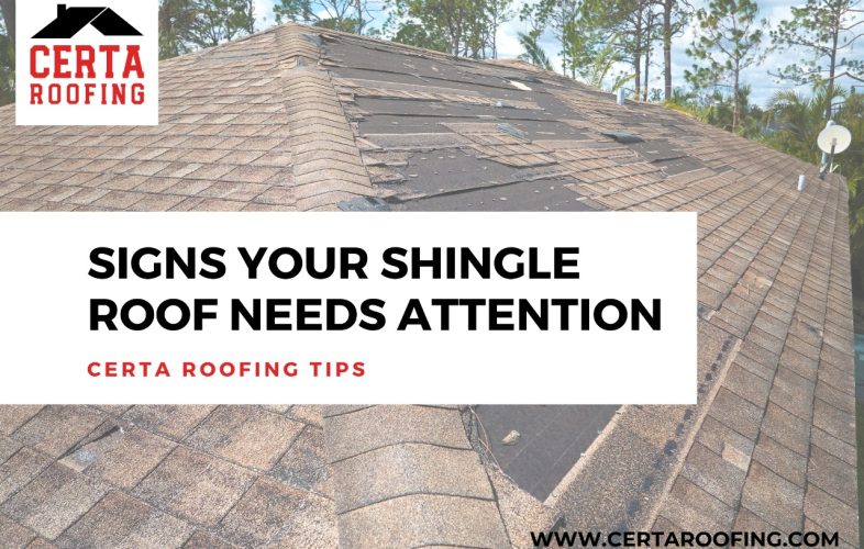 signs your shingle roof needs attention